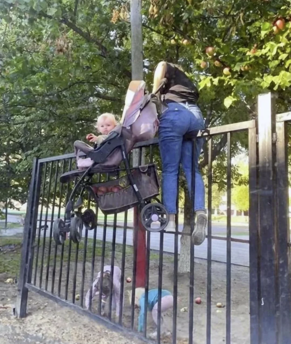 Die lustigsten Fails der Woche: Muddi mit Kinderwagen am Äpfel Pflücken