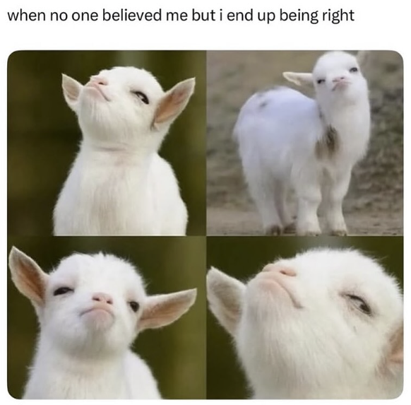 Cute News: Die lustigsten Tierbilder