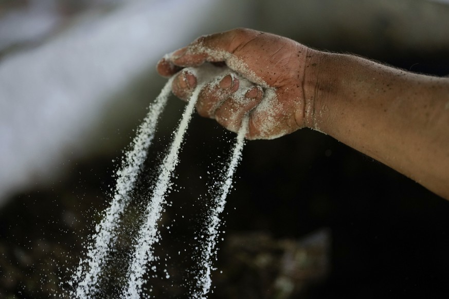 A farm laborer sprinkles powdered chemicals over mulched coca leaves as part of the process in making a coca base, in the hillsides of the Micay Canyon, southwestern Colombia, Tuesday, Aug. 13, 2024. ...
