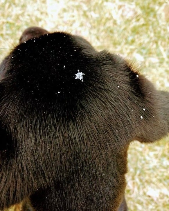 cute news tier schneeflock

https://www.instagram.com/p/DTK_xfjDC1t/?img_index=1