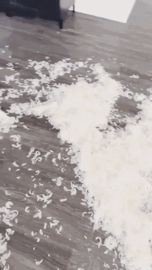GIF animé