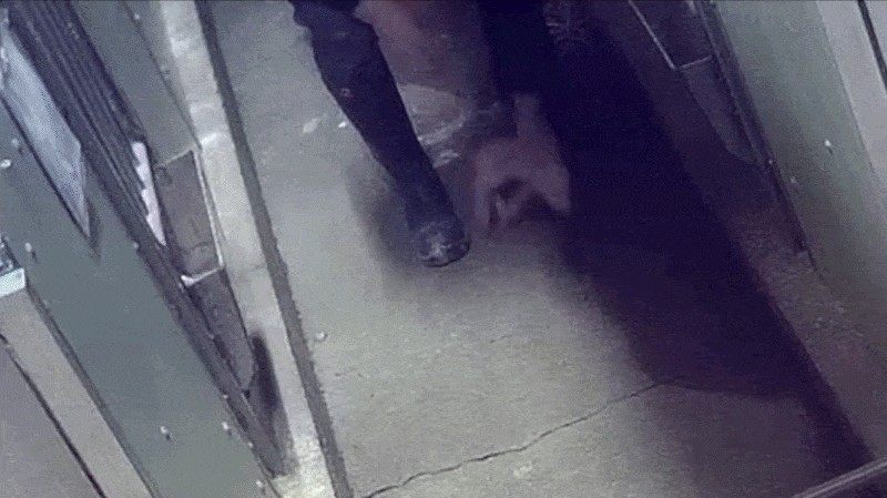 GIF animé