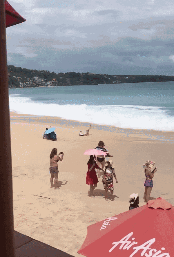 GIF animé