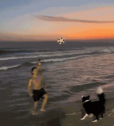 GIF animé