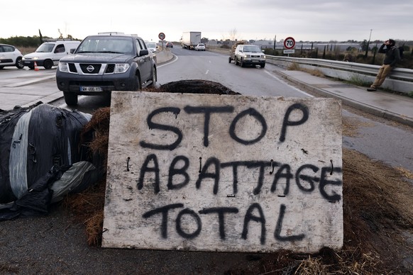 Les paysans manifestent après les annonces du gouvernement d'abattre les troupeaux de bovins si un cas de dermatose nodulaire contagieuse était découvert.