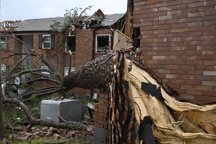 A tree lays on its side in an apartment complex on Cantrell Road after a tornado swept through the area on Friday, March 31, 2023 in Little Rock, Ark. A monster storm system tore through the South and ...