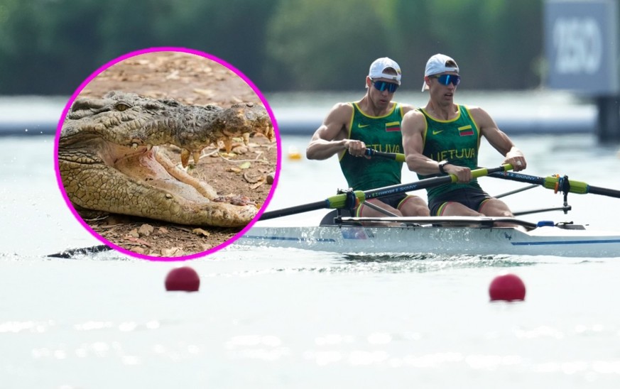 Les crocodiles menacent les Jeux olympiques 2032