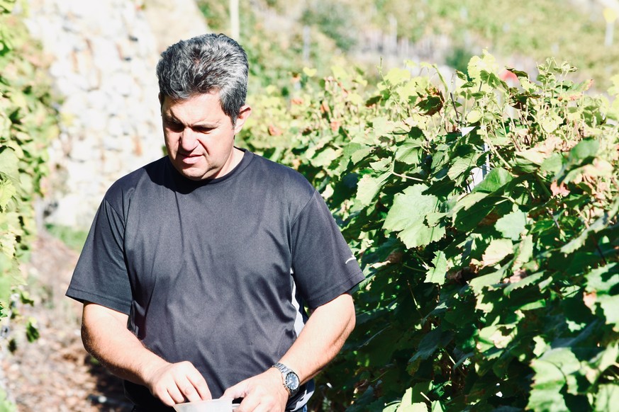 Jean-Michel Dorsaz dans ses vignes à Fully en Valais.