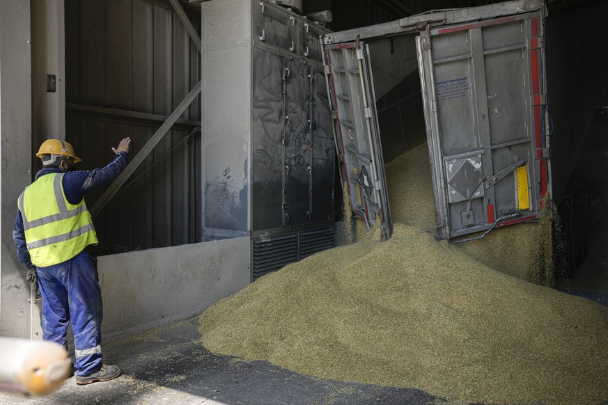 An employee of the Romanian grain handling operator Comvex oversees the unloading of cereals from a truck in the Black Sea port of Constanta, Romania, Tuesday, June 21, 2022. While Romania has vocally ...