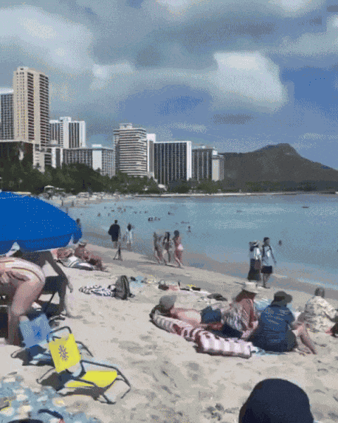GIF animé
