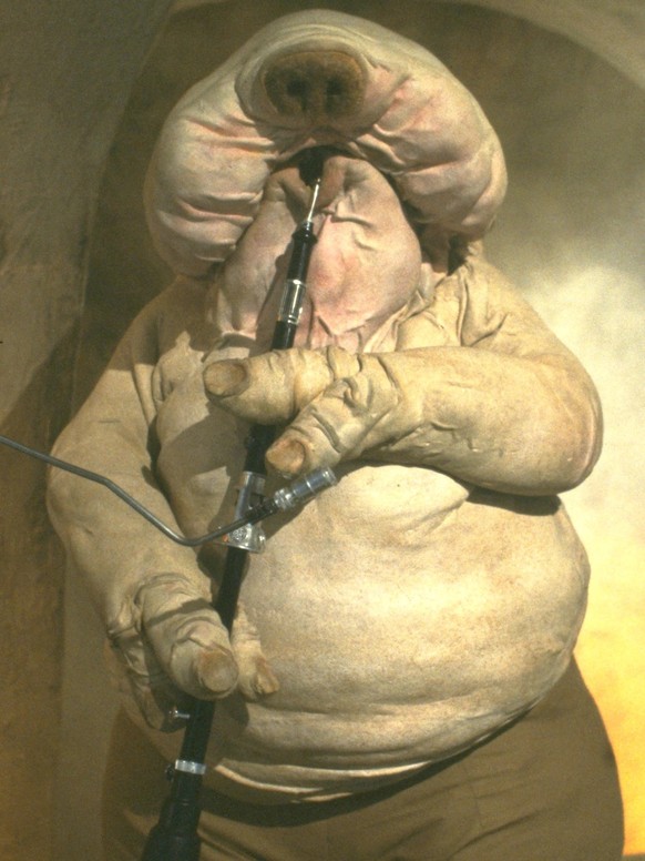 Droopy McCool Star Wars return of the jedi https://starwars.fandom.com/wiki/Droopy_McCool