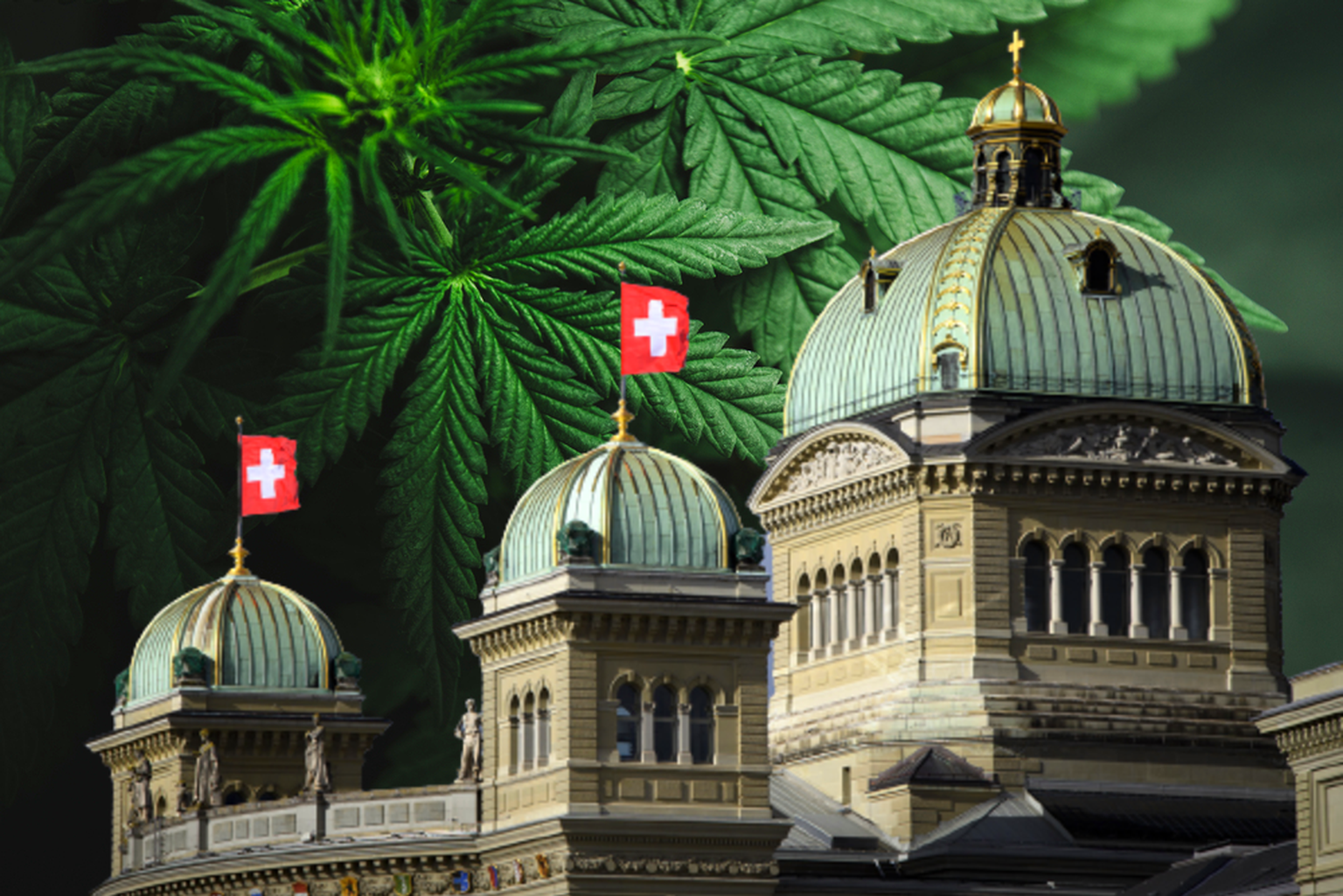 Voici les tactiques de la Suisse pour mieux gérer le cannabis. Watson