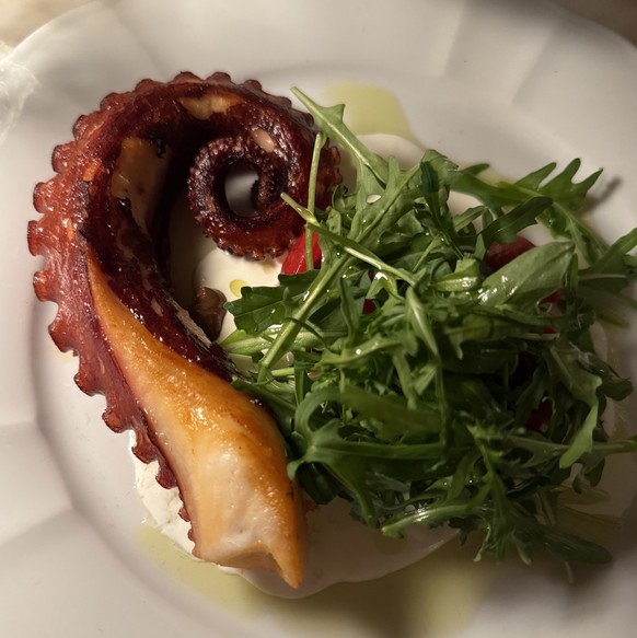 Une (seule) patte de poulpe trop cuite et sa roquette chiffonnée.