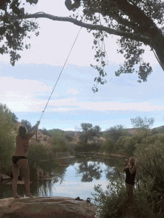 GIF animé