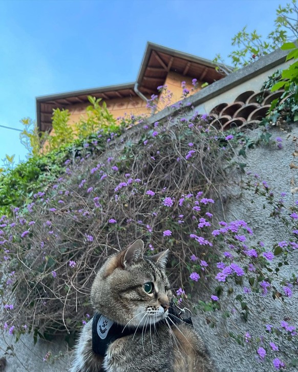 C'est un peu moins pire depuis qu'il est entouré de jolies fleurs.
