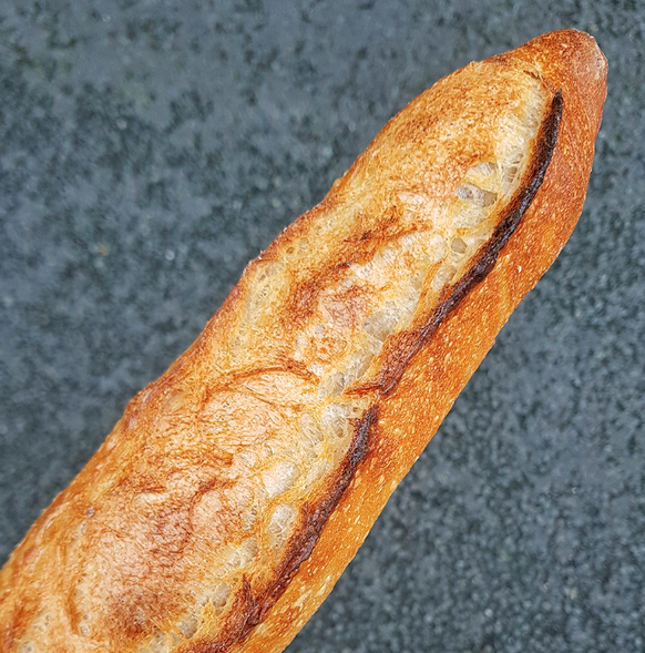 La baguette du vainqueur, Xavier Netry.