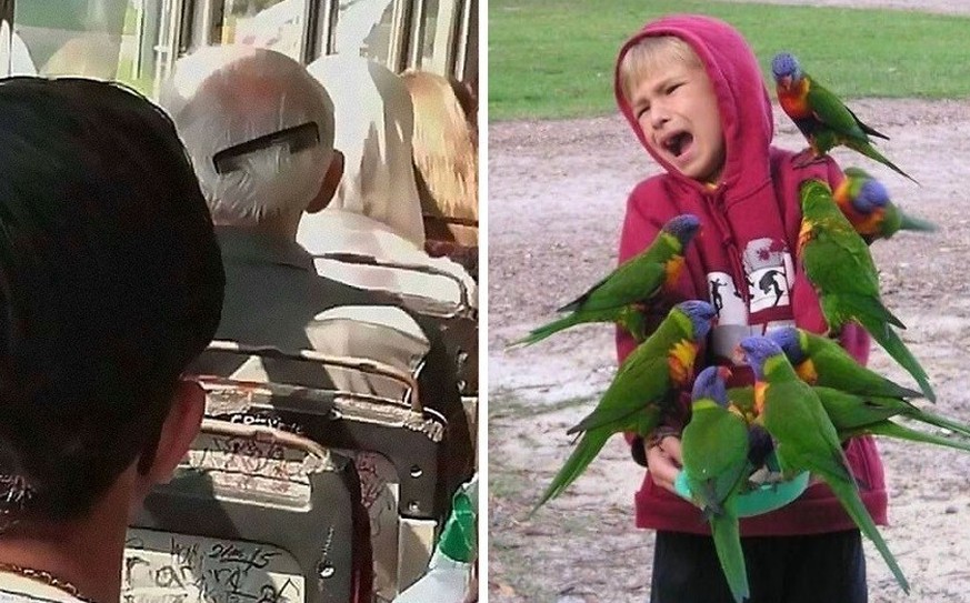Lâchez tout, les fails sont là!