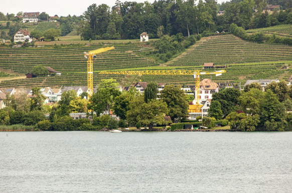 La vue depuis l'autre rive: entre les arbres et les grues, on distingue les nouvelles constructions.