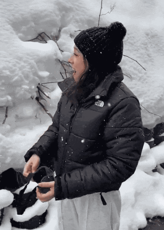GIF animé