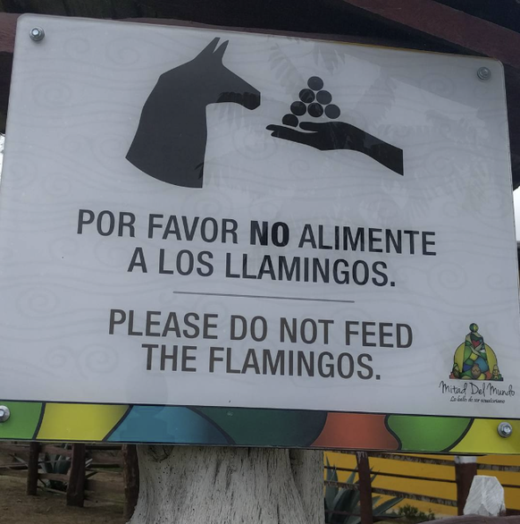 Die lustigsten Übersetzungsfehler