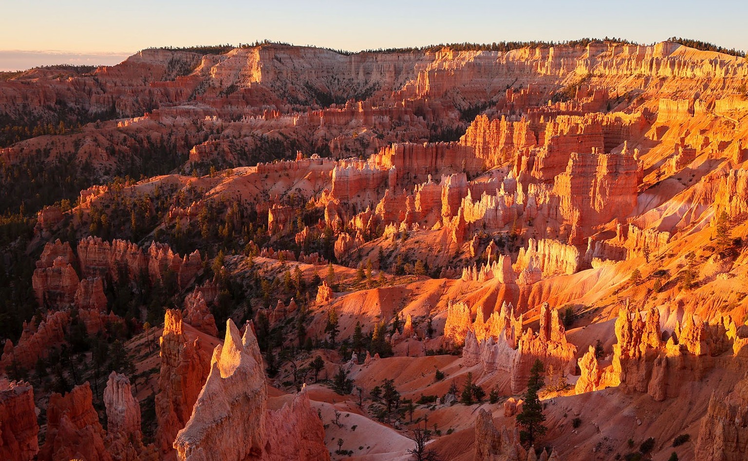 Shawn Vales USA: Bilder nur in Absprache mit Toggi verwenden.