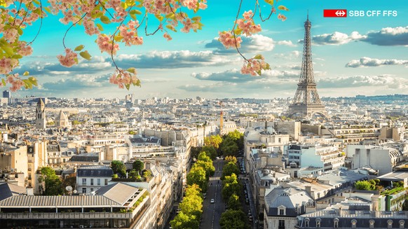 Le printemps dans la capitale française: un vrai coup de cœur.