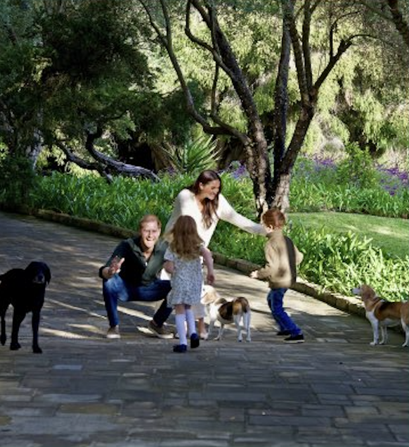 Un rare aperçu des enfants prodigues de l'ancien couple royal, exilé en Californie depuis 2020, avec leurs trois chiens, un labrador noir nommé Pula et deux beagles, Guy et Mia.