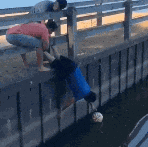 GIF animé
