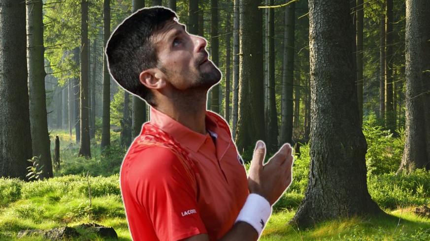 Novak Djokovic a confié cette semaine pratiquer la sylvothérapie, une connexion physique et spirituelle avec les arbres.