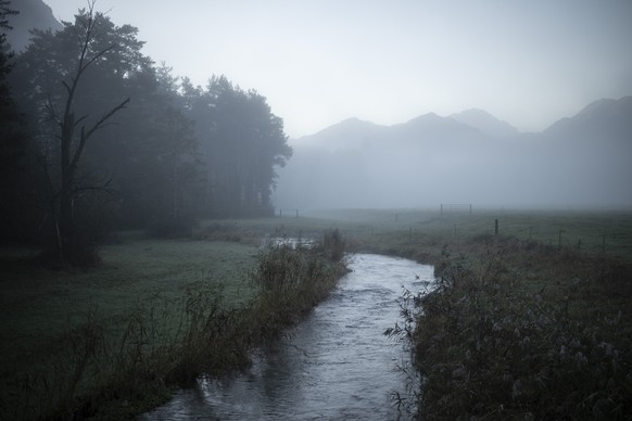 Landschaft im Nebel, am Dienstag, 29. Oktober 2024, in der Heuwiese in Weite. (KEYSTONE/Gian Ehrenzeller)