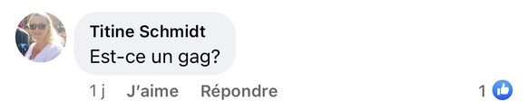 Un commentaire posté dimanche sous la publication de Sébastien Fanti sur Facebook.