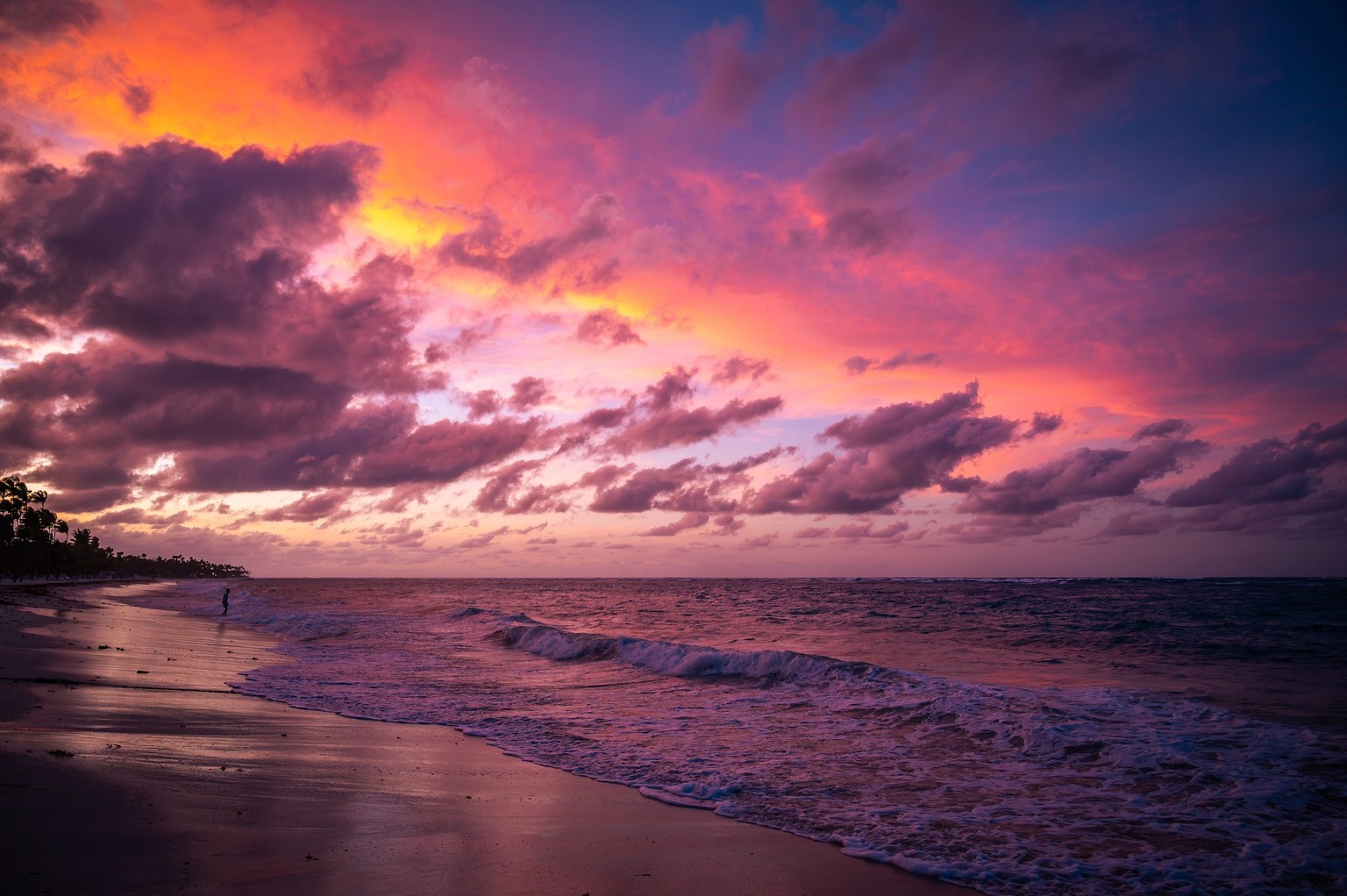 Sunset over Bavaro Beach and Atlantic ocean, dramatic and colourful sunset dusk sky, waves hitting coast, palm trees silhouette, Punta Cana, Dominican Republic, Caribbean. Photo taken in April 2022. x ...