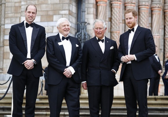 LONDON, ENGLAND - APRIL 04: (L-R) Prince William, Duke of Cambridge, Sir David Attenborough, Prince Charles, Prince of Wales and Prince Harry, Duke of Sussex attend the &quot;Our Planet&quot; global p ...