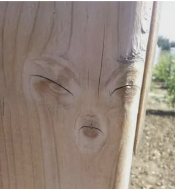 Pareidolie: dinge mit Gesicht