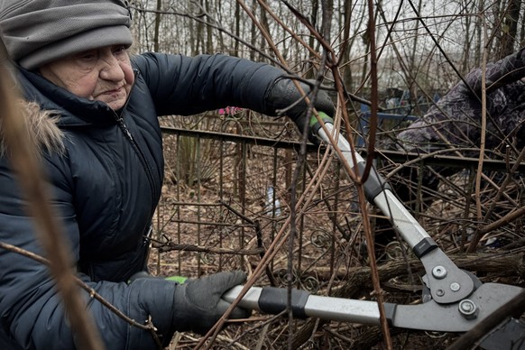 An elderly woman trims the bushes at the cemetery in Domodedovo on December 20, 2025.