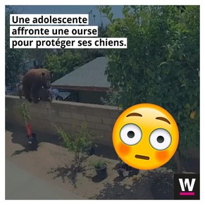 featured post