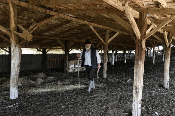 Kostas Theofilou, 58, walks in his empty farm after authorities seized and killed hundreds of his sheep to stamp out an ongoing pox pandemic, in Chalkidona, near Thessaloniki, on February 18, 2026. Fr ...