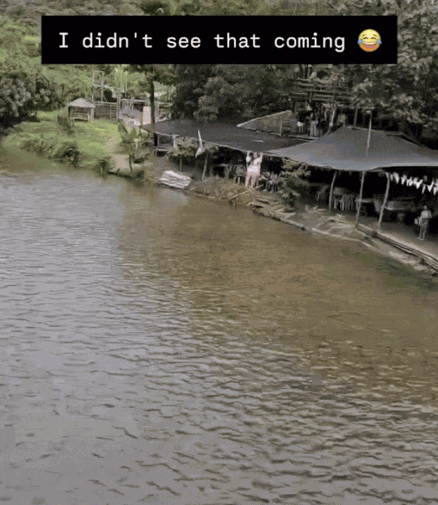 GIF animé