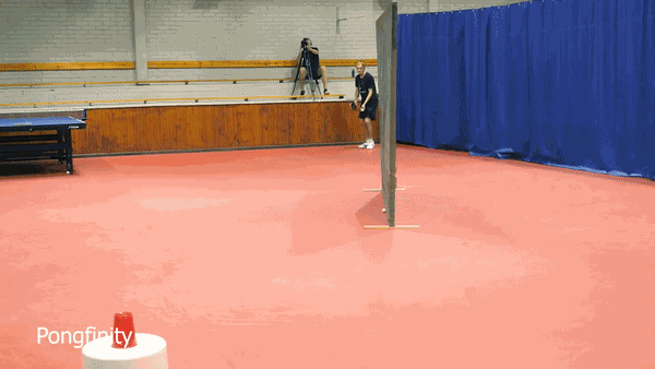 GIF animé