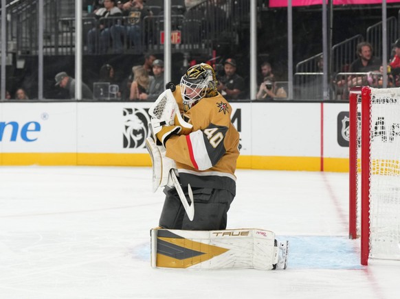 Akira Schmid et Vegas ont subi la loi des Ducks samedi