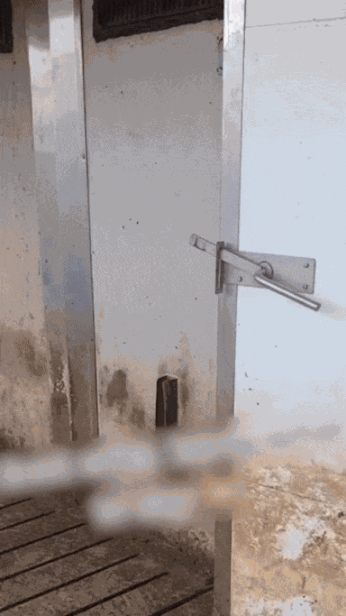 GIF animé