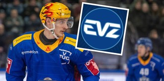 Il y a un gros problème avec le nouveau logo de ce club suisse