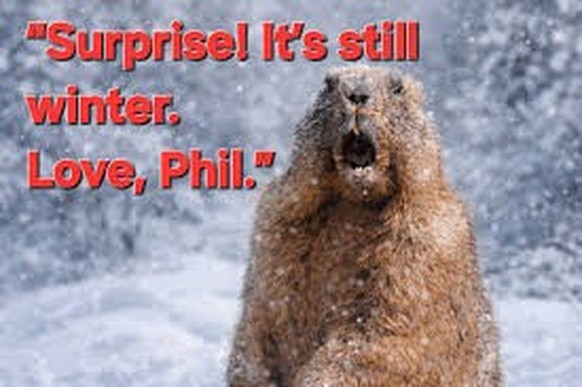 Überraschungs-Winter im Frühling. Die Memes.