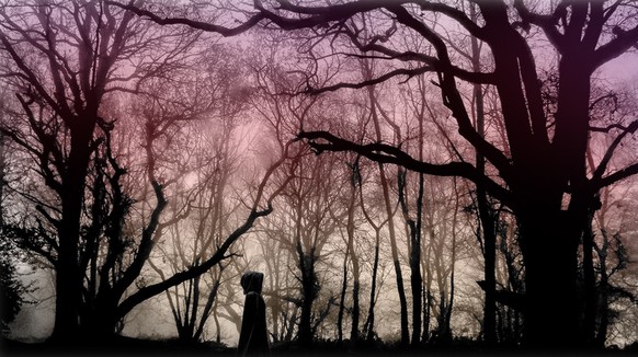 The Black Lady of Bradley Woods https://hypnogoria.blogspot.com/2017/09/folklore-on-friday-black-lady-of_28.html