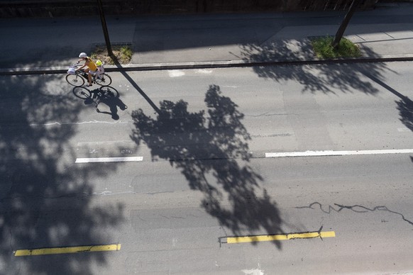 Une personne a velo roule sur une route bordee d arbres lundi, 22 aout 2022 dans la ville de Lausanne. (KEYSTONE/Gaetan Bally)