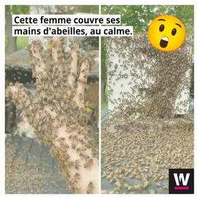 featured post