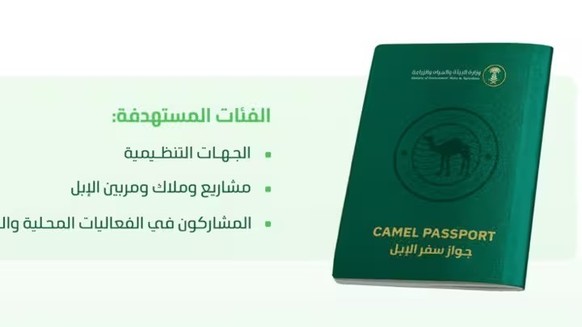 Le ministère de l'Environnement d'Arabie saoudite a annoncé la mise en place de passeports pour plus de 2 millions de chameaux.