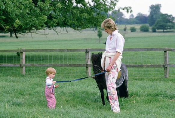 HIGHGROVE, UNITED KINGDOM - JULY 18: Prince Harry And Princess Diana In The Grounds At Highgrove With A Shetland Pony. (Photo by Tim Graham Photo Library via Getty Images)