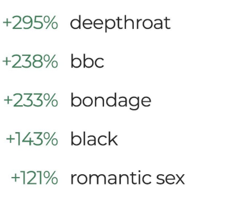 Die interessantesten Pornhub Statistiken zur Schweiz