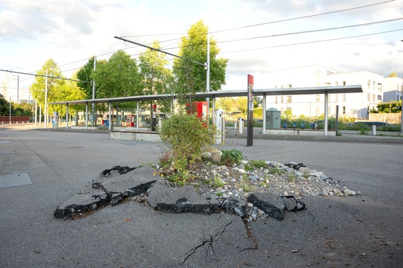 Ansermetplatz Entsiegeln von Boden
